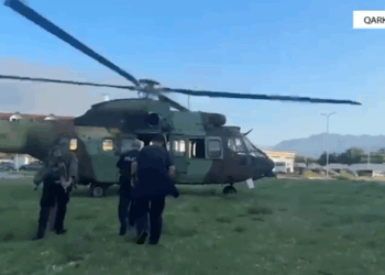 Shkodra kultivon 87% të totalit të kanabisit të zbuluar në gjithë vendin, Korça vetëm 4 fidanë