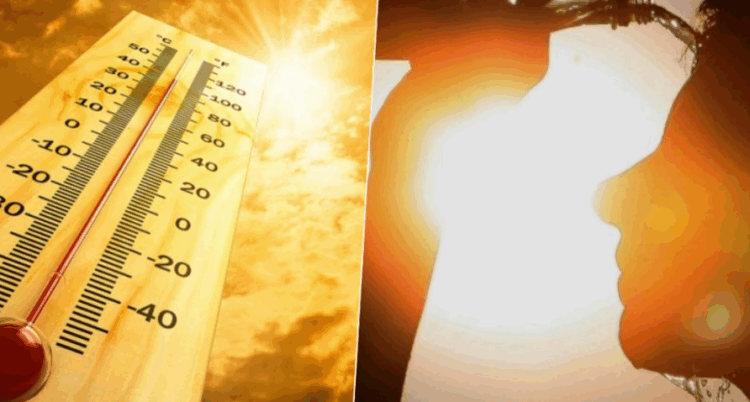 Ngrohja globale vazhdon: 2025-a, viti i dytë ose i tretë më i nxehtë në histori