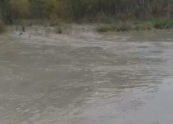 Reshjet e shiut shtojnë nivelin e Vjosës, dhjetëra banesa në rrezik përmbytjeje