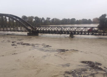 Vjosa kalon pikën maksimale, shtohet sipërfaqja e përmbytur