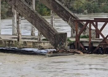 Prurjet e larta të Vjosës shkaktojnë dëme edhe në Fier, përmbyten 21 banesa