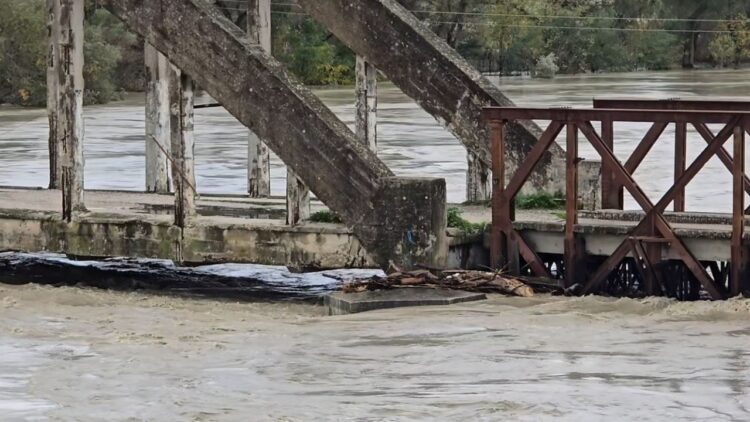 Prurjet e larta të Vjosës shkaktojnë dëme edhe në Fier, përmbyten 21 banesa