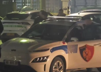 Ekzekutimi i Mond Mëhallës, pamjet e çastit kur një person futet me forcë në makinën e policisë