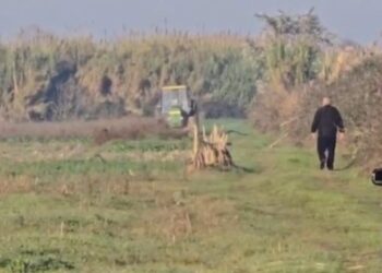 Ngjarje tragjike në Fier/ 62-vjeçari ndërron jetë aksidentalisht, teksa përmbyset traktori