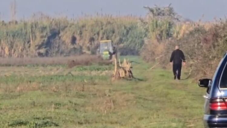 Ngjarje tragjike në Fier/ 62-vjeçari ndërron jetë aksidentalisht, teksa përmbyset traktori