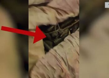 Bllokoi rrugën në një festë në Vaun e Dejës, i gjendet kanabis në makinë