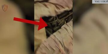 Bllokoi rrugën në një festë në Vaun e Dejës, i gjendet kanabis në makinë