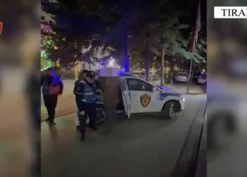 Tregtonin armë zjarri në Tiranë/ Arrestohen dy anëtarët e bandës, një tjetër në kërkim