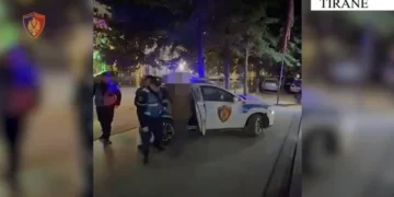 Tregtonin armë zjarri në Tiranë/ Arrestohen dy anëtarët e bandës, një tjetër në kërkim