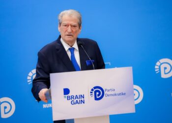 Berisha: Padrejtësitë ndaj të rinjve dhe diasporës duhen korrigjuar me garanci statutore