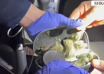 EMRAT/ Arrestohet 2 të rinj në Shkodër, u kapën me drogë gati për shitje