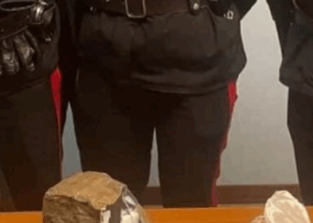 Arrestohet 20-vjeçari shqiptar, kapet me drogë në Itali