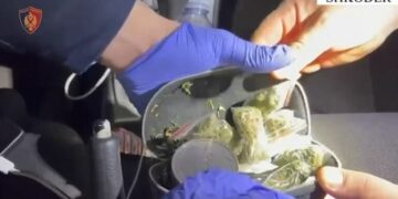 EMRAT/ Arrestohet 2 të rinj në Shkodër, u kapën me drogë gati për shitje