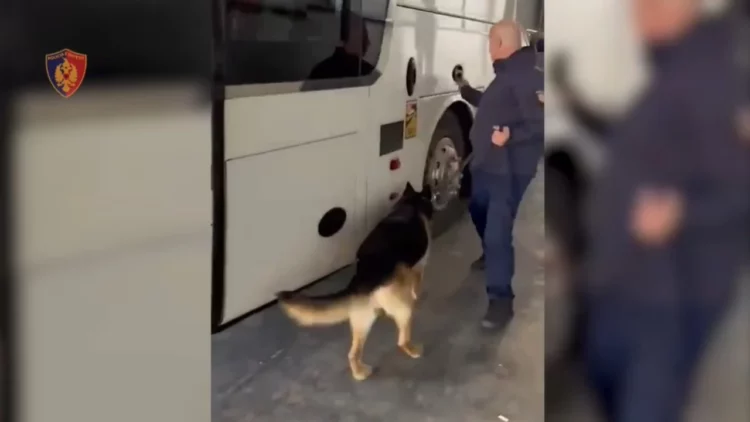Sekuestrohet drogë, armë dhe mijëra euro në Portin e Durrësit! Arrestohet shoferi i autobusit
