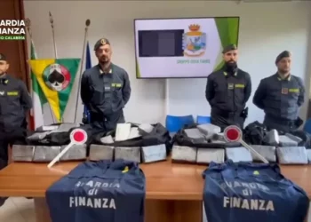 Sekuestrohen 248 kilogramë kokainë në portin Gioia Tauro në Itali, droga kapte vlerën e 40 milion euro