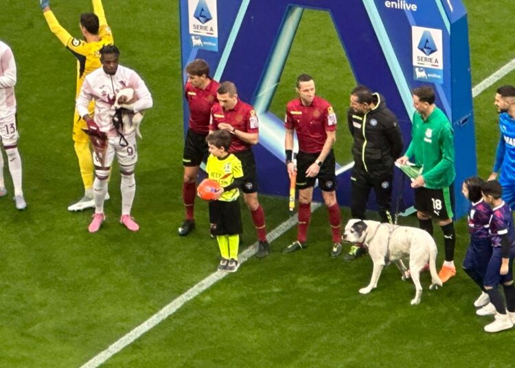 Nisma e veçantë, lojtarët shfaqen në fushë me qen në “derbin” shqiptar të Serisë A