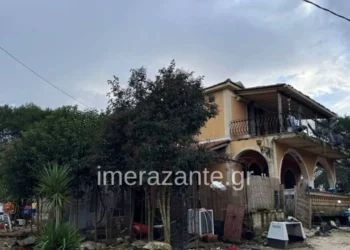 Qeni kafshoi për vdekje 2-vjeçarin shqiptar, flet i përlotur babai: Më pa dhe mbylli sytë përgjithmonë