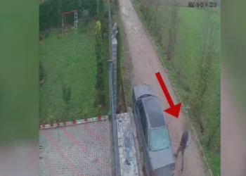 Furnizonte me makina të vjedhura grupet kriminale, arrestohet 21-vjeçari (Emri)