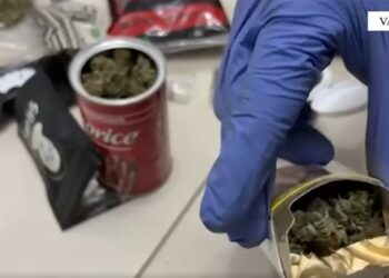 Lokal për drogë dhe bixhoz në Vau i Dejës, arrestohet 39-vjeçari