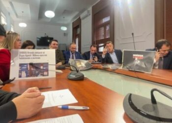 Bardhi-Manjës: Na quani grup kriminal, por harroni që anëtarët e qeverisë tuaj sillen si banditë