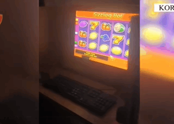 Goditet rrjeti i basteve në Korçë dhe Pogradec, 2 të arrestuar