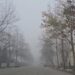 Temperatura deri në -4°C në juglindje, Korça nën ‘pushtetin’ e mjegullës