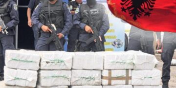 Klani Hysa/ Pse mafia shqiptare është aleate e karteleve meksikane?