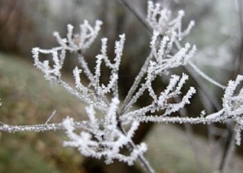 Parashikimi i motit për sot, 30 dhjetor 2025