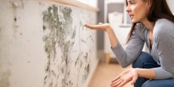 Ndaloni mykun në shtëpi duke ndjekur metodën skandinave që s’kushton asgjë