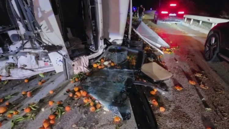 Kamioni me agrume del nga rruga në Levan–Tepelenë, plagoset shoferi