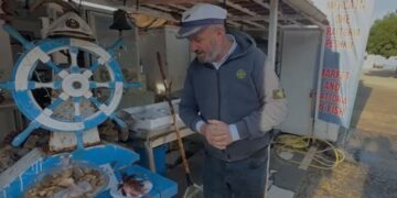 Kapet në ujërat e Gjirit të Vlorës peshku i rrezikshëm