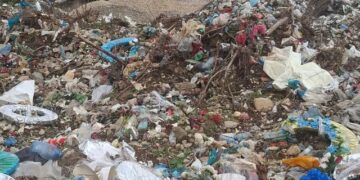 As të vdekurit nuk gjejnë qetësi! Plehrat pushtojnë varret në Tufinë