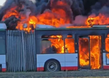 Djegia e 8 autobusëve në Durrës, policia jep detaje mbi ngjarjen