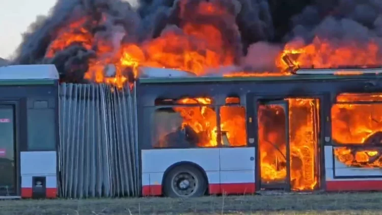 Djegia e 8 autobusëve në Durrës, policia jep detaje mbi ngjarjen
