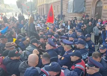 Policia shoqëron aktivistët e Adriatik Lapajt që protestuan para Kryeministrisë (Pamje)