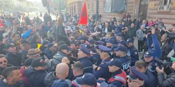 Policia shoqëron aktivistët e Adriatik Lapajt që protestuan para Kryeministrisë (Pamje)