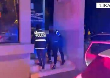 (VIDEO) Fresku/ Sherri në TikTok përfundon me dhunë, arrestohet i dënuari italian