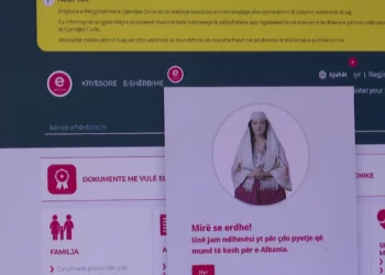 E-Albania vazhdon në kolaps total/ Prej ditësh bizneset dhe individët nuk mundet të kryejnë procedurat