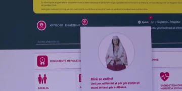 E-Albania vazhdon në kolaps total/ Prej ditësh bizneset dhe individët nuk mundet të kryejnë procedurat