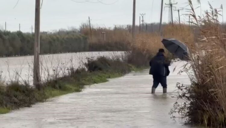 Lumi Shkumbin del nga shtrati, rreth 20 banesa të përmbytura në Lushnje, përmbytje nga Semani në Fier