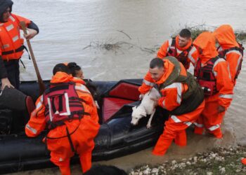 Ushtria në Fier për evakuimin e banorëve dhe gjësë së gjallë në fshatin Ferras