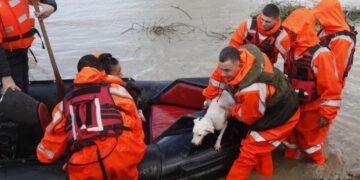 Ushtria në Fier për evakuimin e banorëve dhe gjësë së gjallë në fshatin Ferras