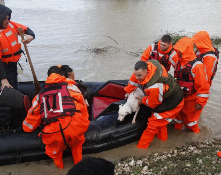 Ushtria në Fier për evakuimin e banorëve dhe gjësë së gjallë në fshatin Ferras