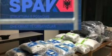 Kokainë përmes lëkurës së gjedhëve! SPAK dërgon për gjykim 10 persona për trafik ndërkombëtar