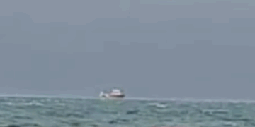 Mbi 800 pasagjerë të bllokuar prej 6 orësh mes dallgëve në tragetin Vlorë–Brindisi