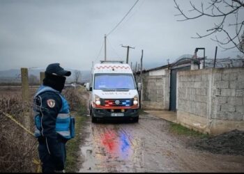 “Nuk e kam njohur më parë Pavlin Prekën”, 13-vjeçarja dëshmon pas vrasjes së të riut