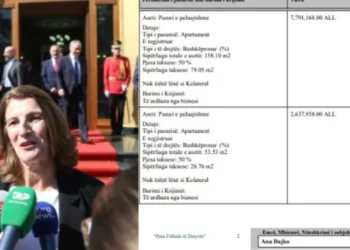Deputetja milionere e “Shqipëria Bëhet”, zbardhet pasuria dhe llogaritë bankare të Ana Dajkos
