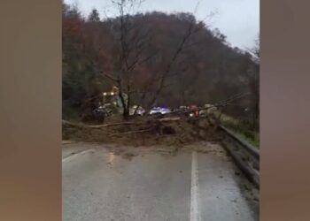 Shembet masivi i dheut, bllokohet aksi Tepelenë–Gjirokastër (VIDEO)