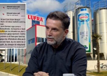 Lufta po na shkatërron/ “Nuk kemi ku ta çojmë qumështin”, Braçe ngre alarmin për blegtorinë shqiptare