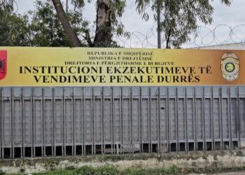 Arratisja e Altin Ndocit/ Edmond Llabani drejtor i komanduar i IEVP Durrës